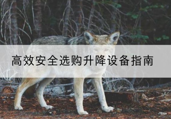 康乐升降货梯厂家推荐-*安全选购升降设备指南