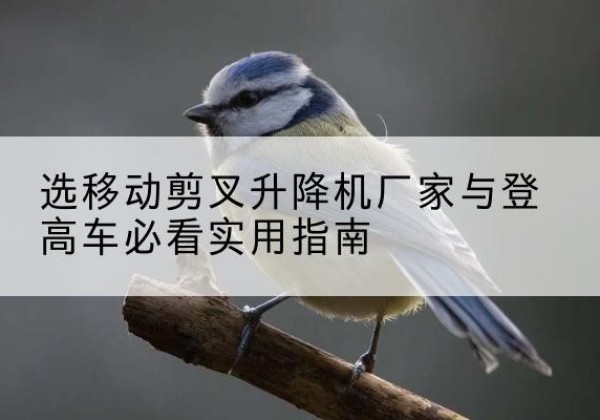 康乐电动升降机厂家-选移动剪叉升降机厂家与登高车必看实用指南