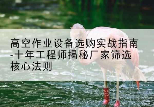 康乐剪叉式升降机厂家-高空作业设备选购实战指南-十年工程师揭秘厂家筛选核心法则